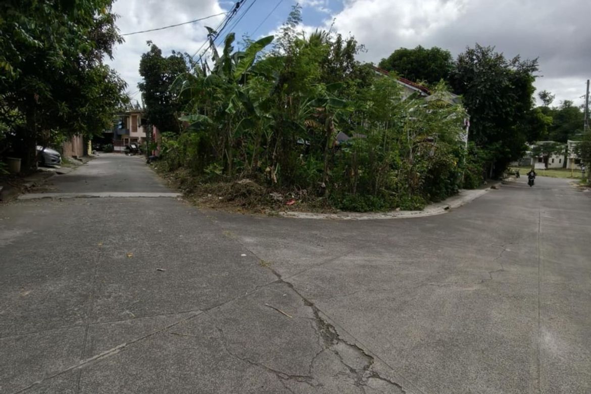 Land for Sale in Bagumbayan, Teresa, Rizal – photo 4
