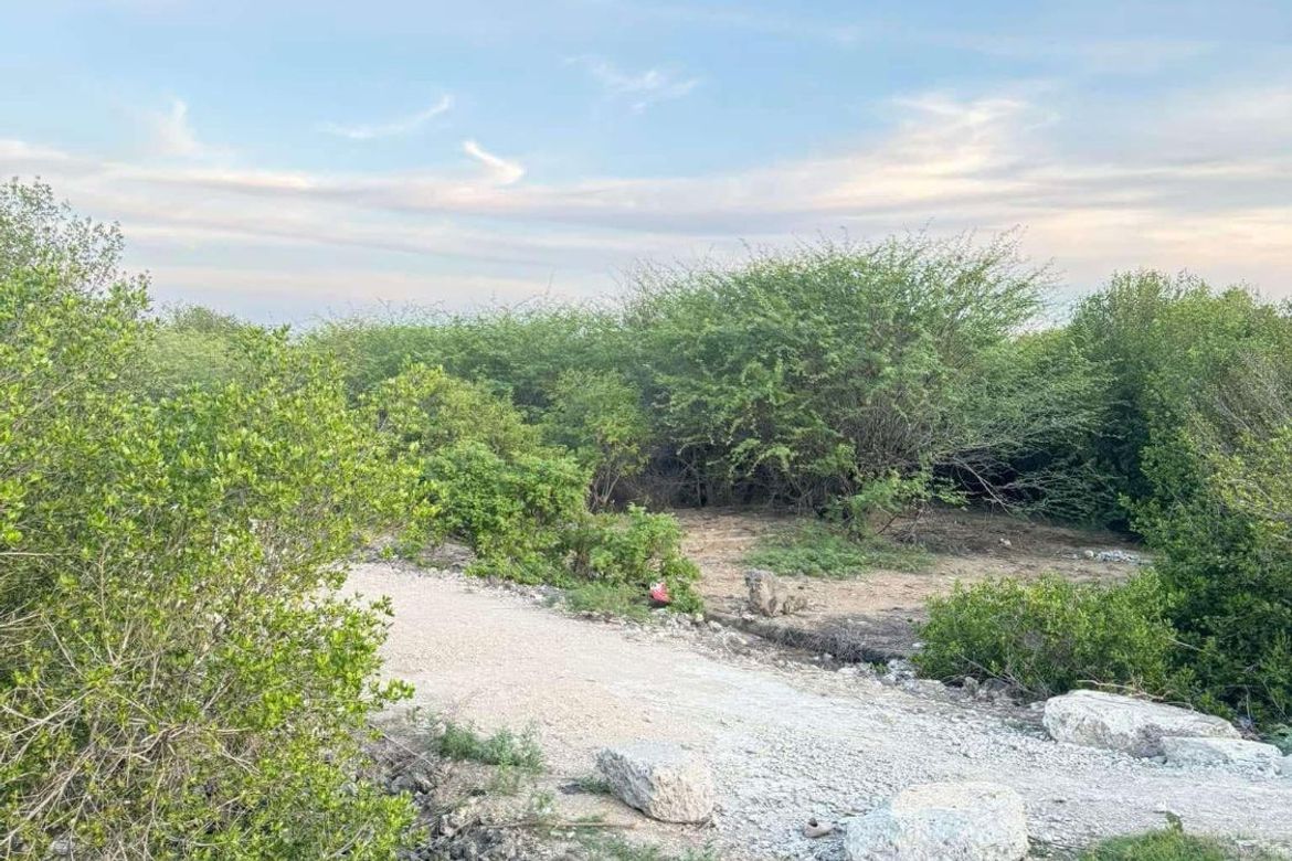 Land for Sale in Bahay, Sibonga, Cebu