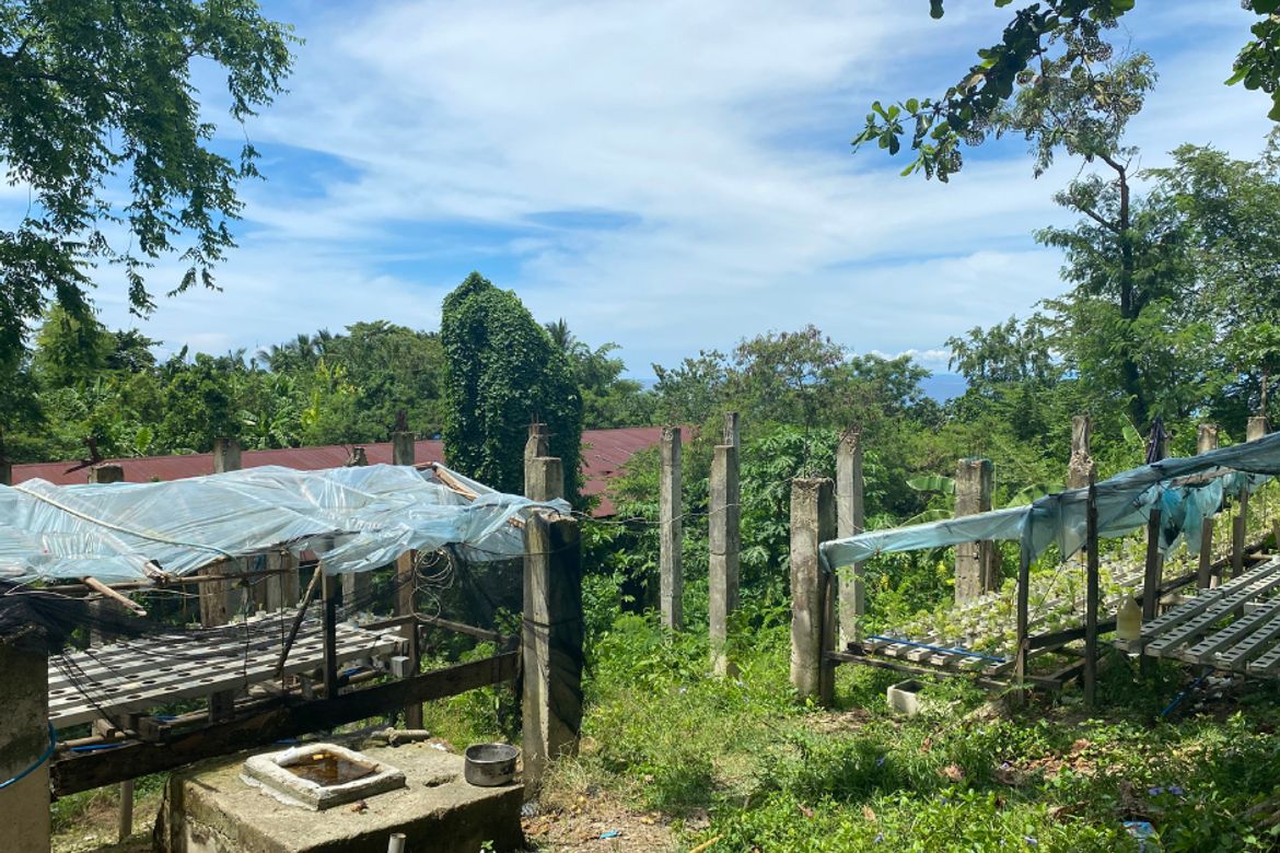 Land for Sale in Bahay, Sibonga, Cebu