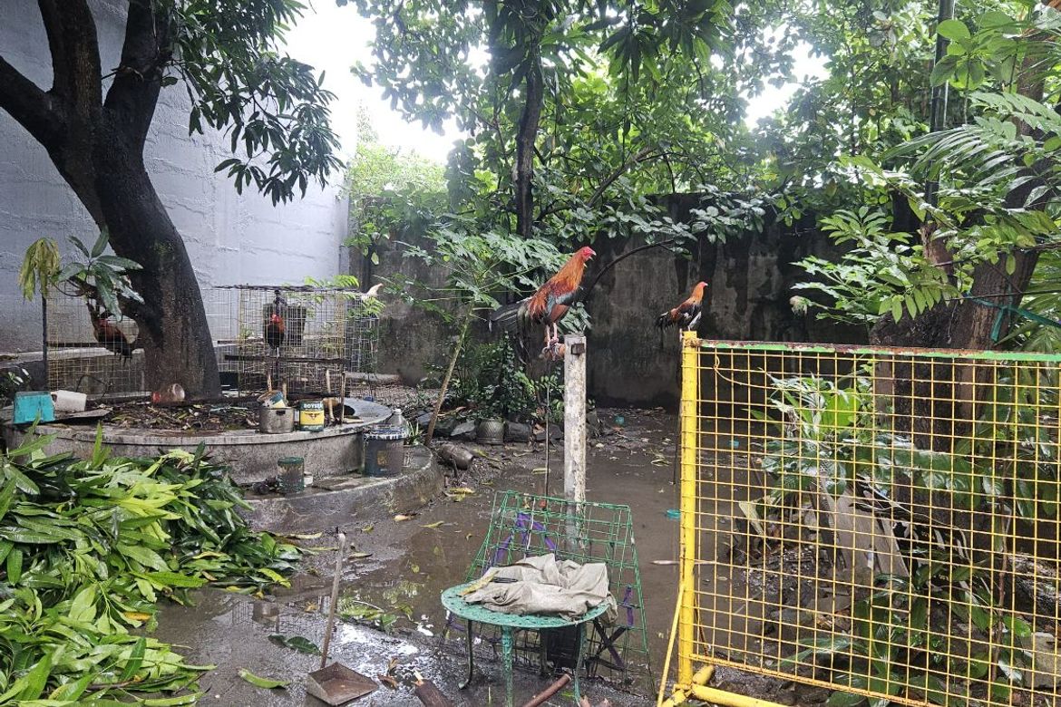 Land for Sale in Bahay Toro, Quezon City, Metro Manila near LRT-1 Roosevelt – photo 6