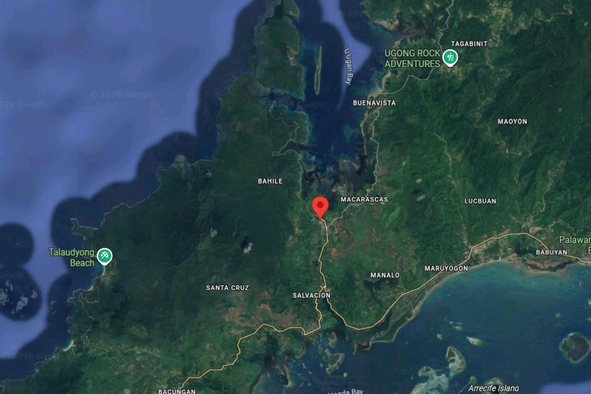 Land for Sale in Bahile, Puerto Princesa, Palawan – photo 2