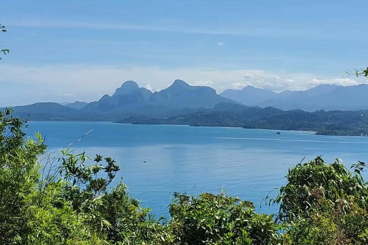 Land for Sale in Bahile, Puerto Princesa, Palawan – photo 3
