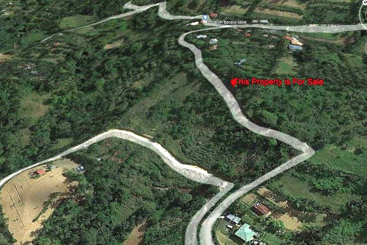 Land for Sale in Bairan, Naga, Cebu – photo 2