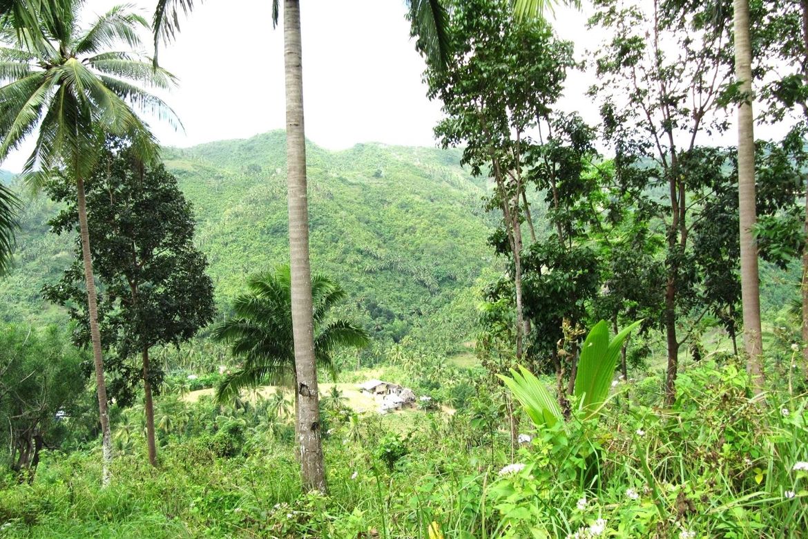 Land for Sale in Bairan, Naga, Cebu – photo 3