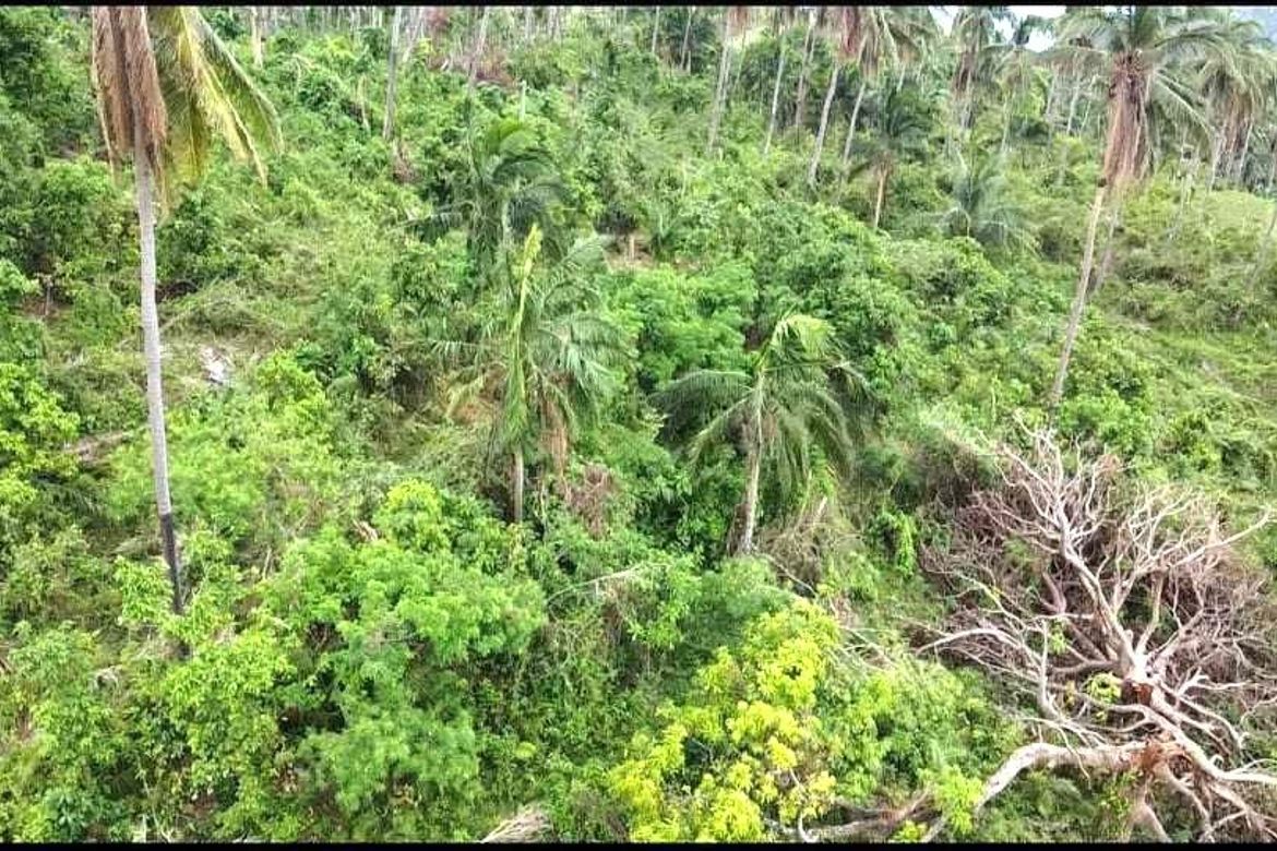 Land for Sale in Bairan, Naga, Cebu – photo 4