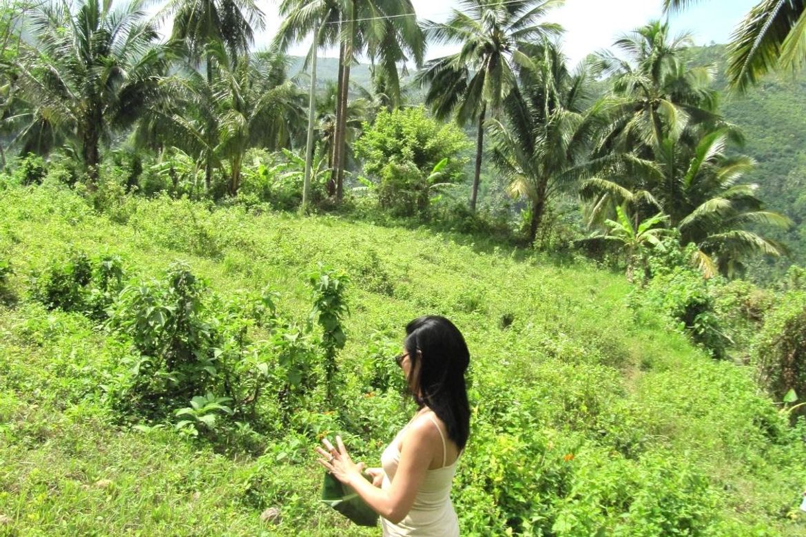 Land for Sale in Bairan, Naga, Cebu – photo 5