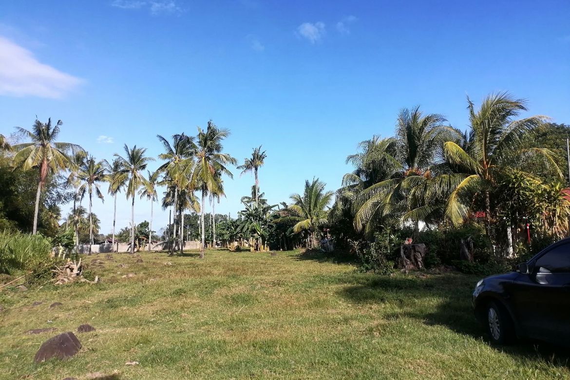 Land for Sale in Bajumpandan, Dumaguete, Negros Oriental