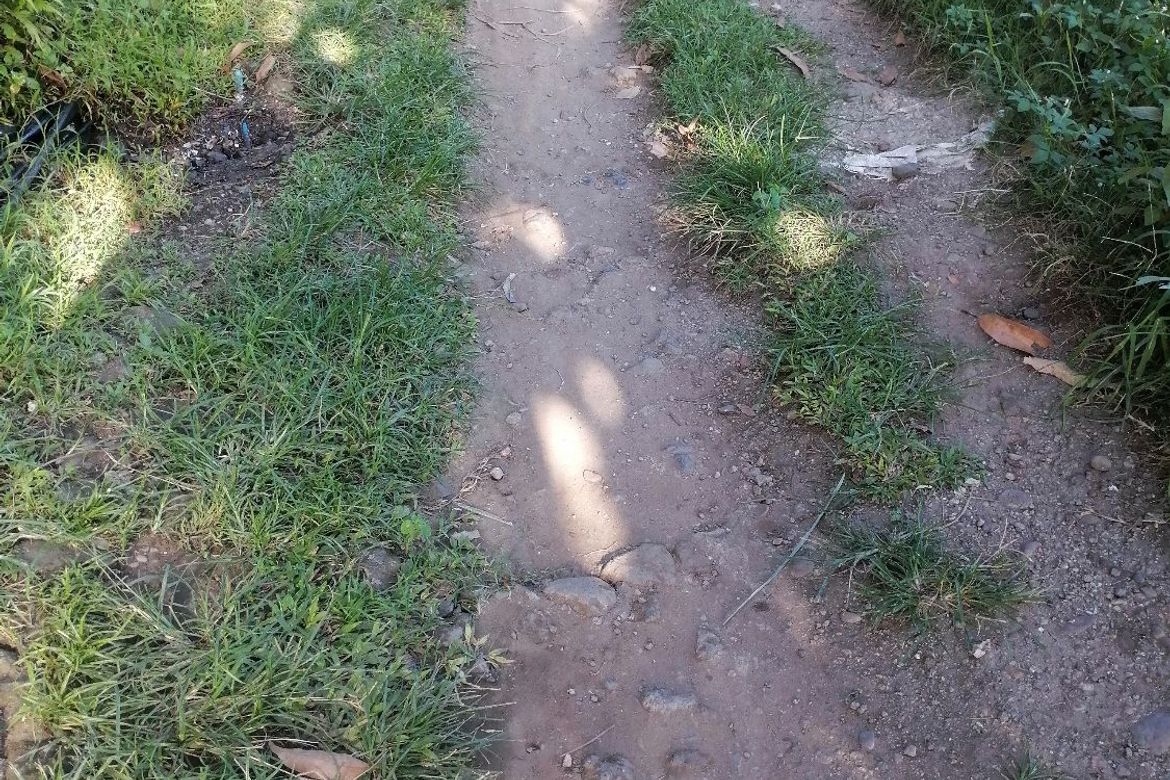 Land for Sale in Bajumpandan, Dumaguete, Negros Oriental – photo 3