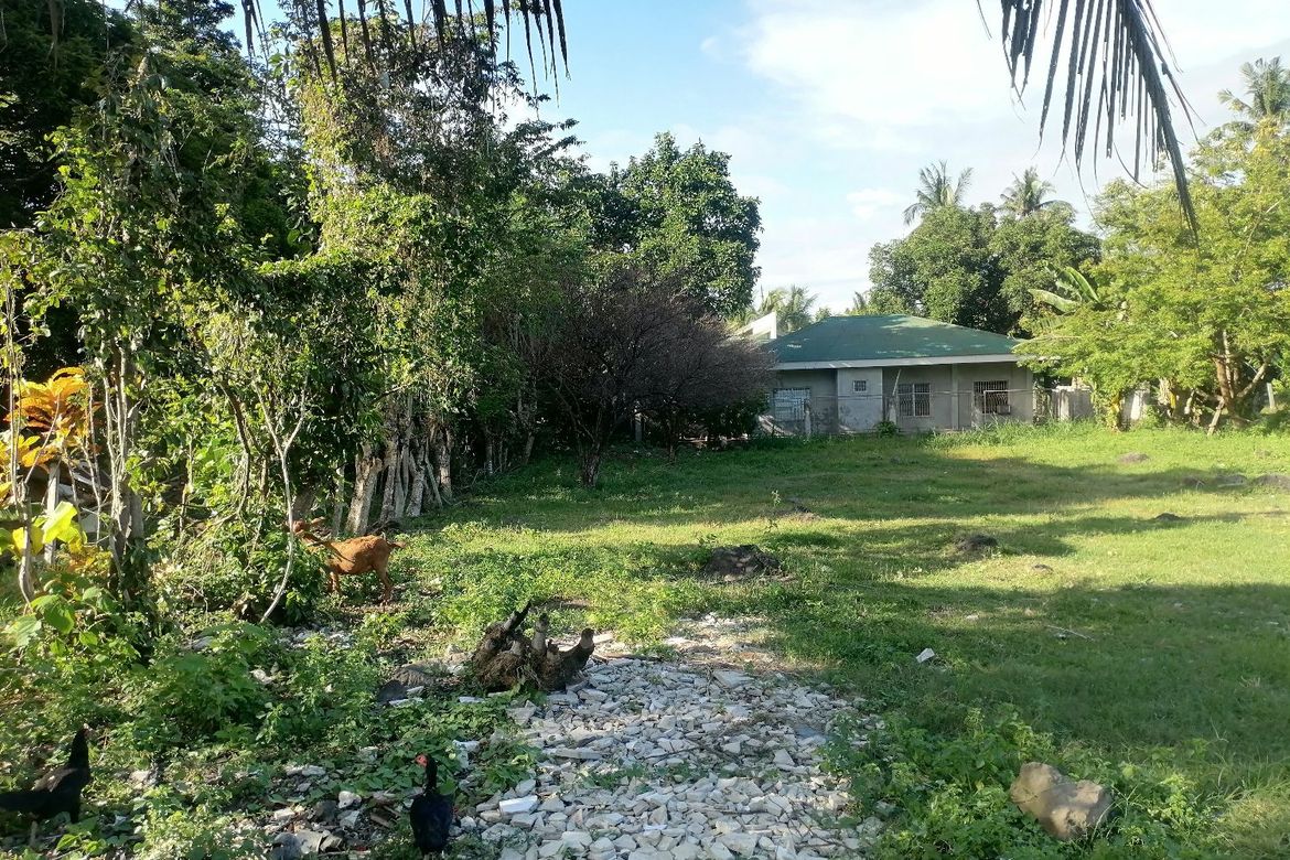 Land for Sale in Bajumpandan, Dumaguete, Negros Oriental – photo 5