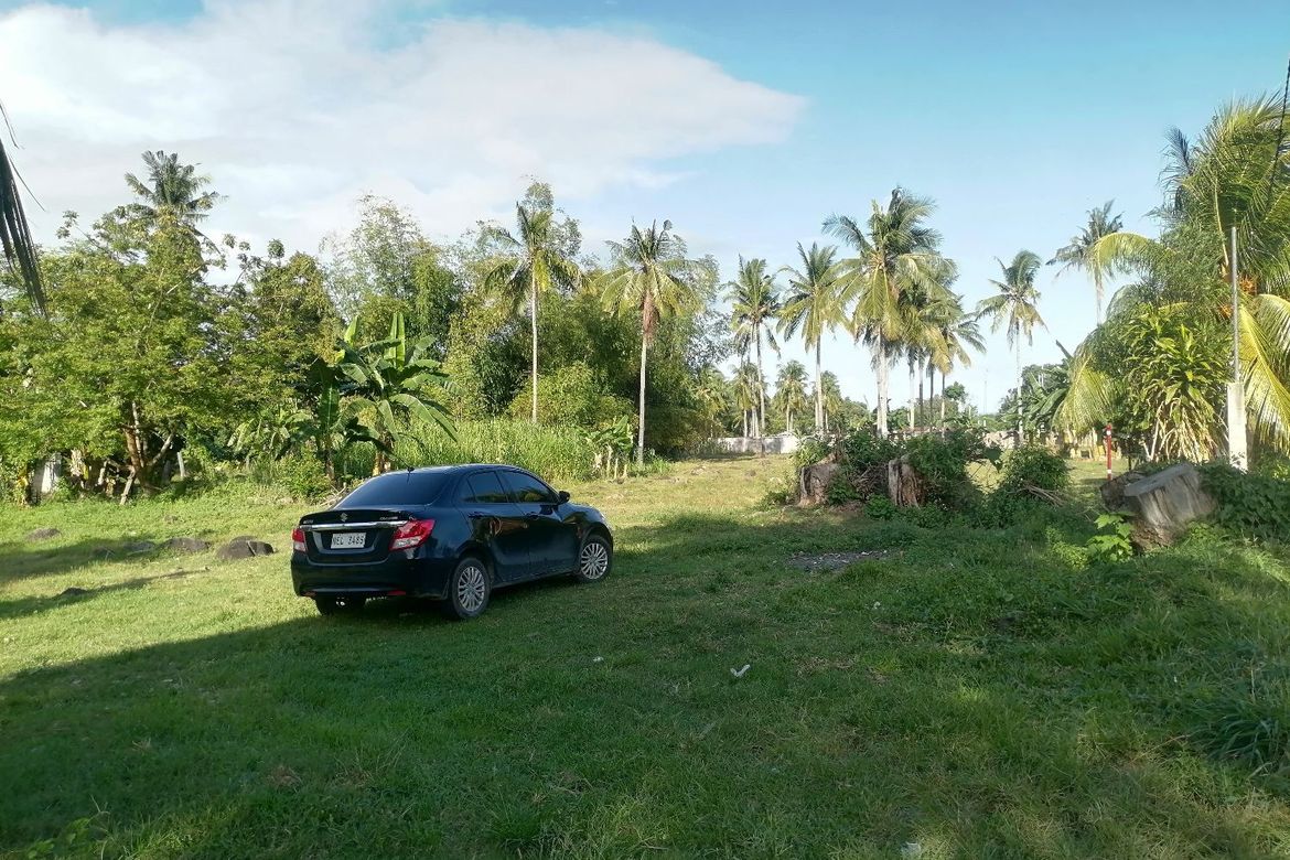 Land for Sale in Bajumpandan, Dumaguete, Negros Oriental – photo 6