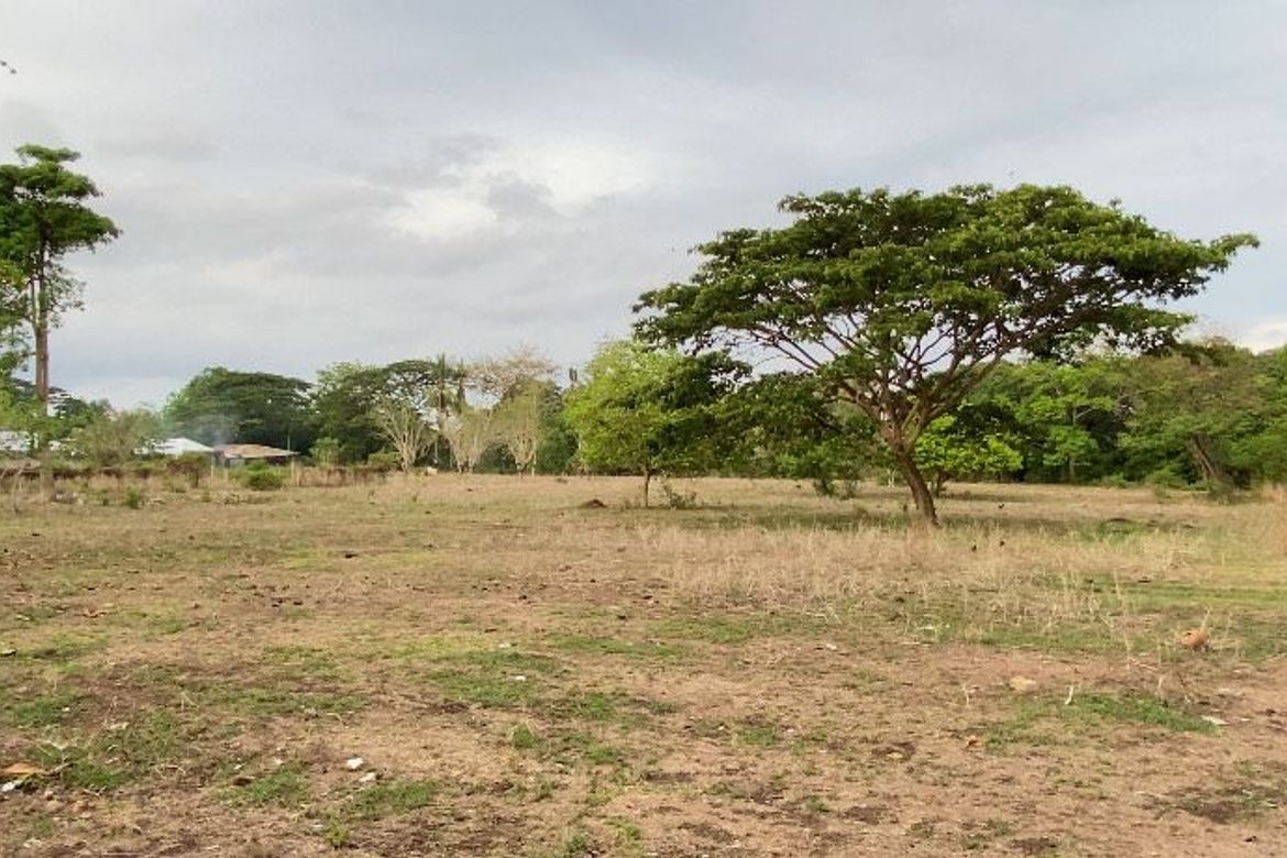 Land for Sale in Bajumpandan, Dumaguete, Negros Oriental