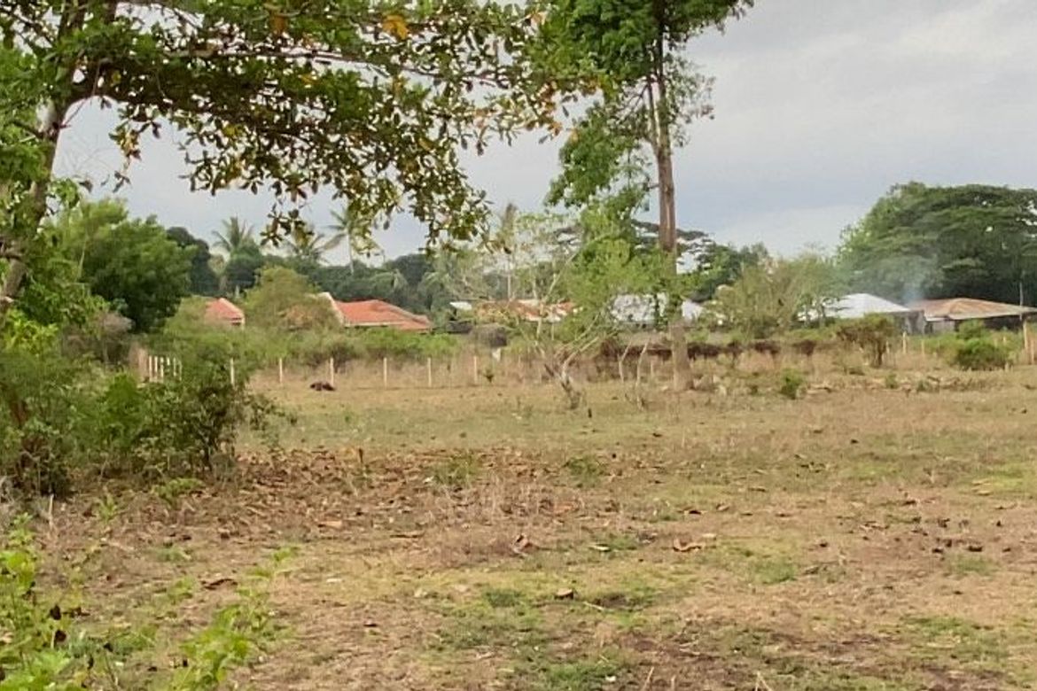 Land for Sale in Bajumpandan, Dumaguete, Negros Oriental – photo 2