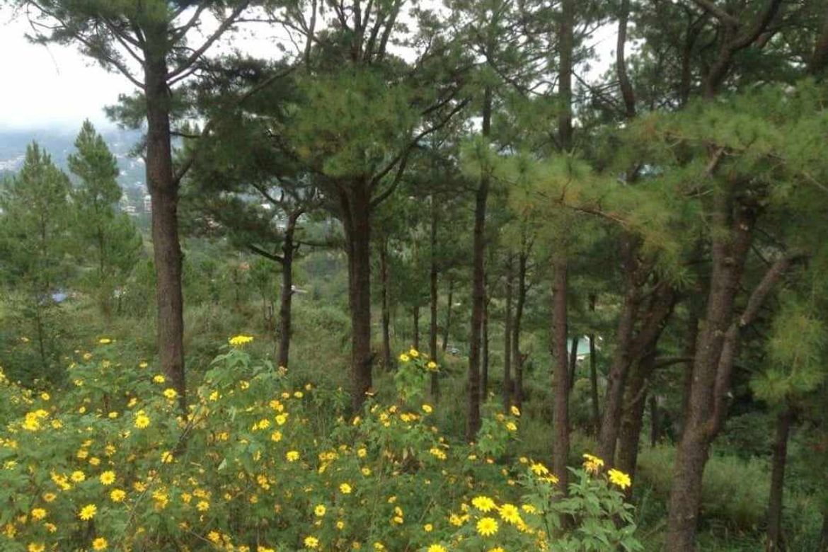 Land for Sale in Bakakeng Central, Baguio, Benguet