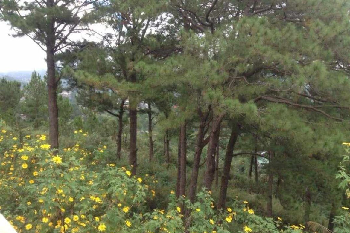 Land for Sale in Bakakeng Central, Baguio, Benguet – photo 5