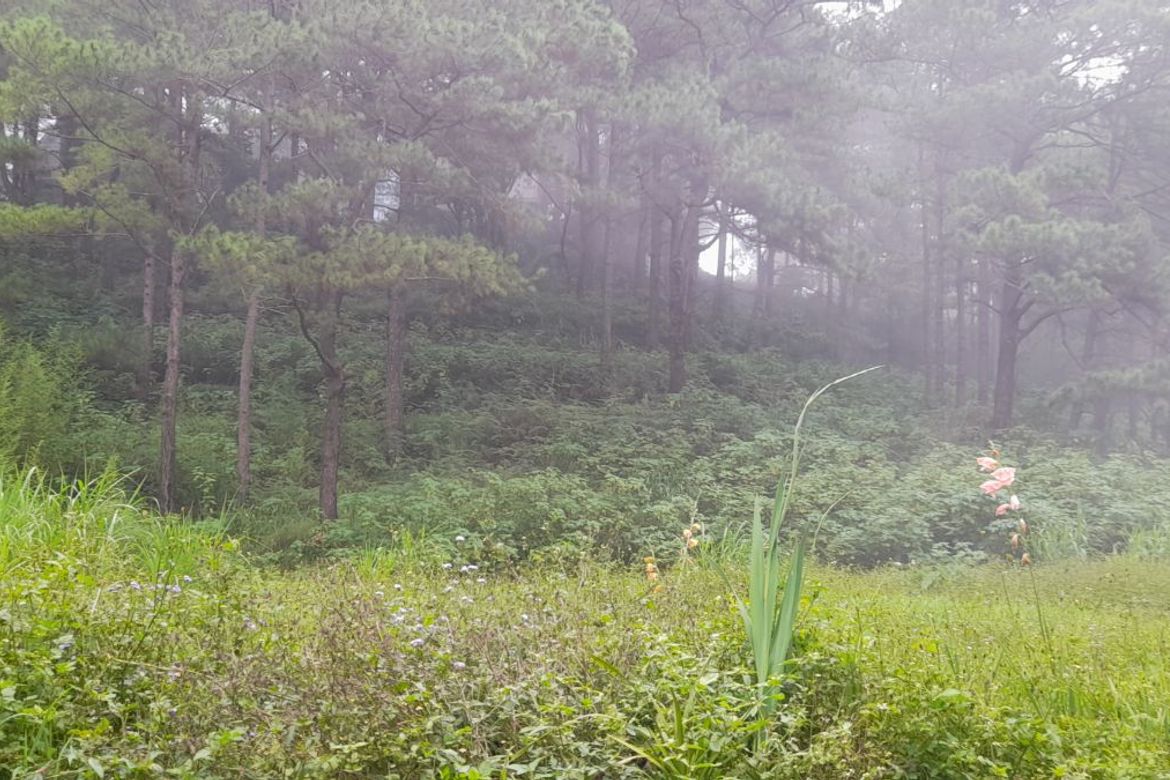 Land for Sale in Bakakeng Central, Baguio, Benguet – photo 2