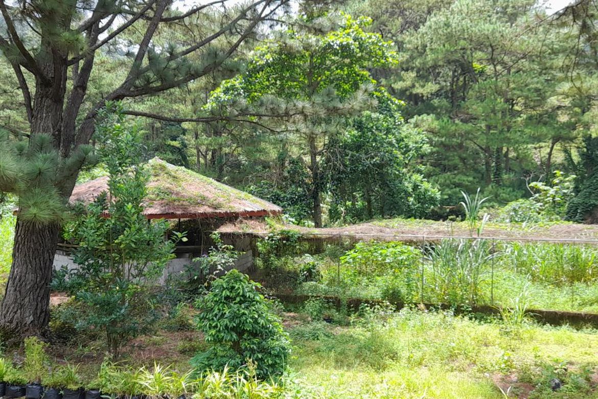 Land for Sale in Bakakeng Central, Baguio, Benguet – photo 5