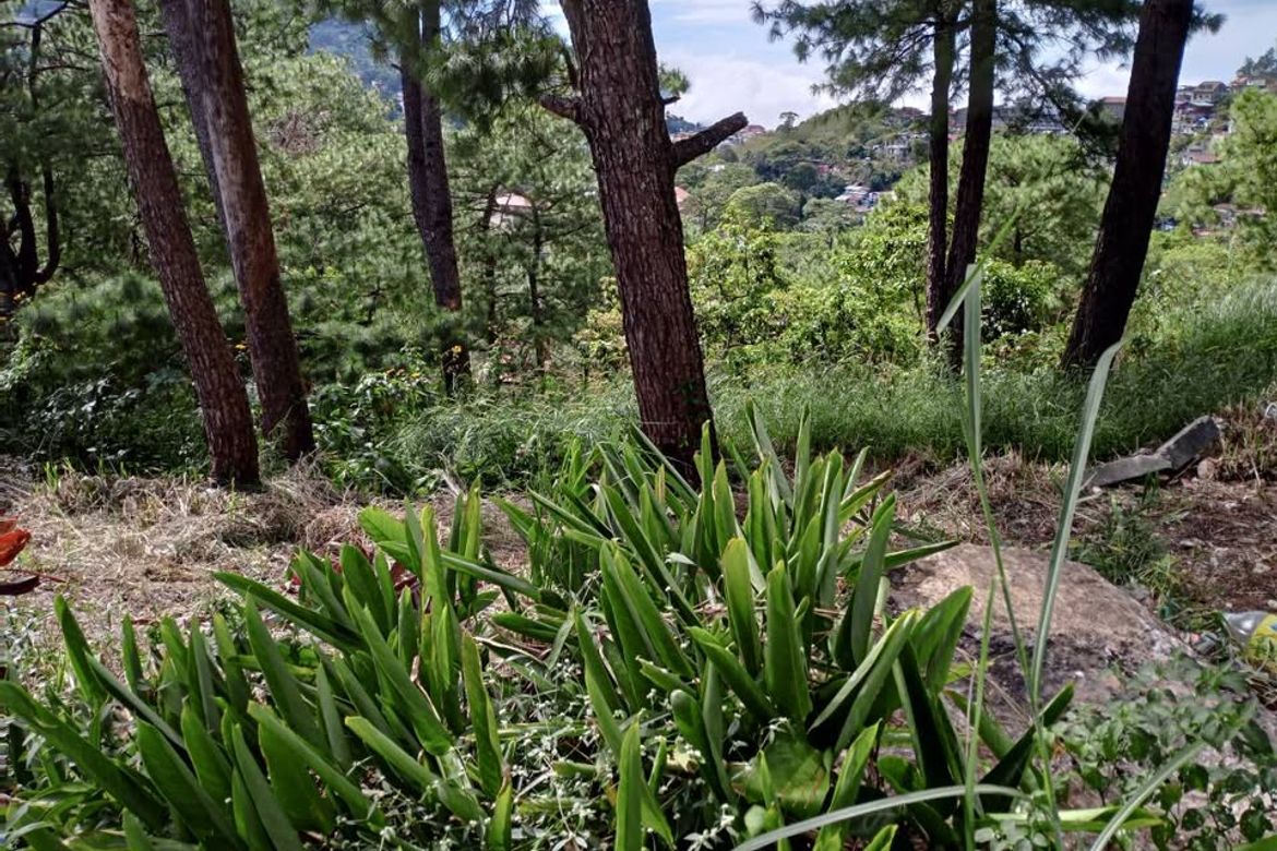 Land for Sale in Bakakeng Central, Baguio, Benguet – photo 3