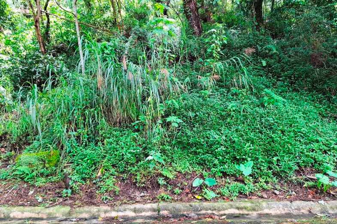 Land for Sale in Bakakeng North, Baguio, Benguet