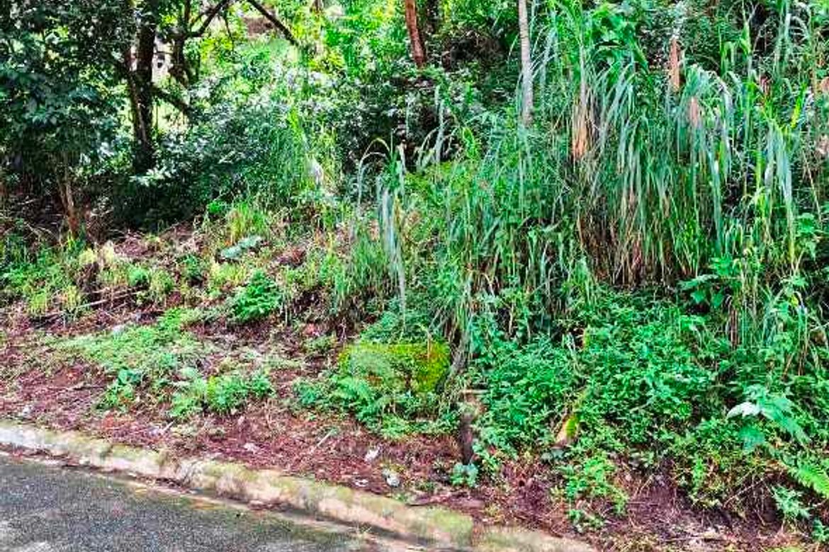 Land for Sale in Bakakeng North, Baguio, Benguet – photo 2