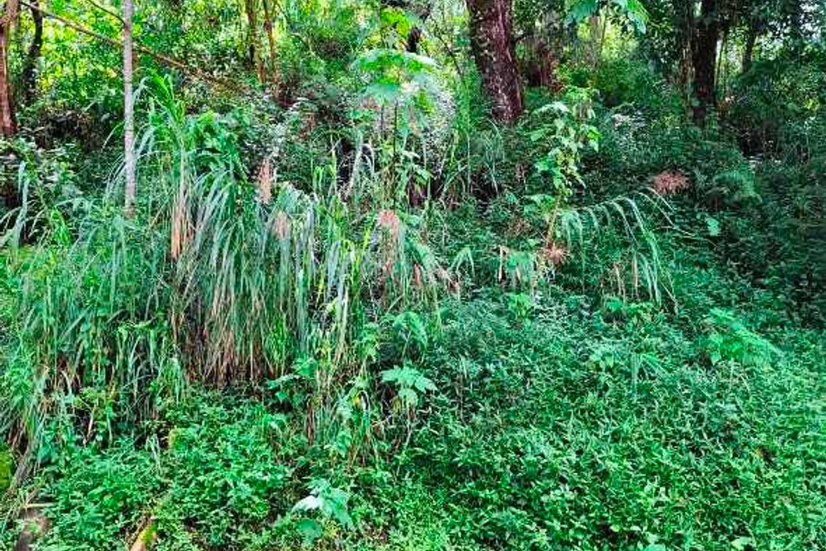 Land for Sale in Bakakeng North, Baguio, Benguet – photo 4