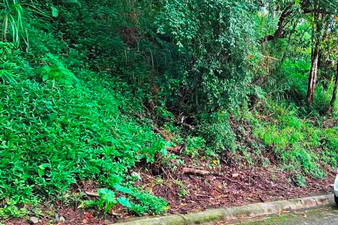 Land for Sale in Bakakeng North, Baguio, Benguet – photo 7