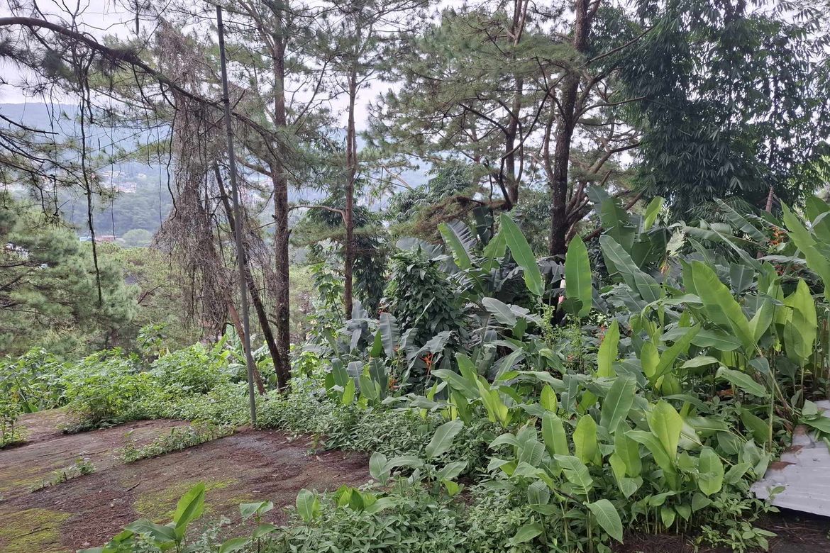 Land for Sale in Bakakeng North, Baguio, Benguet – photo 4