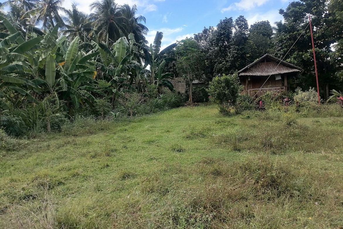 Land for Sale in Balabag East, Valencia, Negros Oriental – photo 2