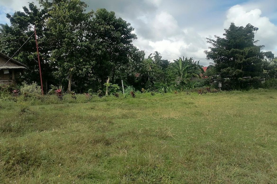 Land for Sale in Balabag East, Valencia, Negros Oriental – photo 8
