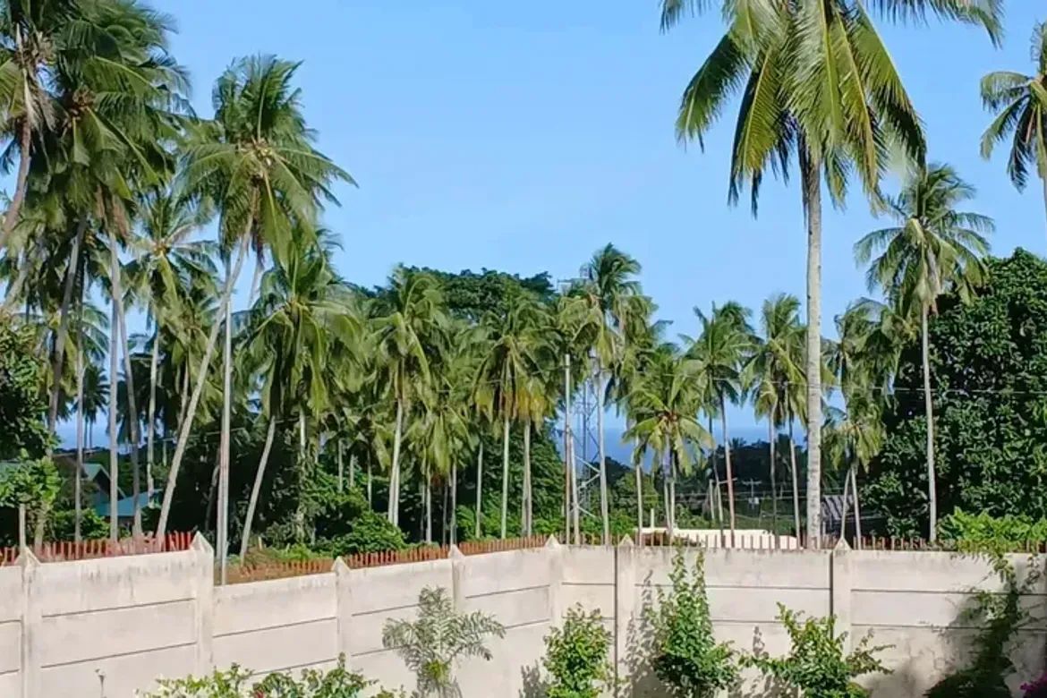 Land for Sale in Balabag East, Valencia, Negros Oriental – photo 3
