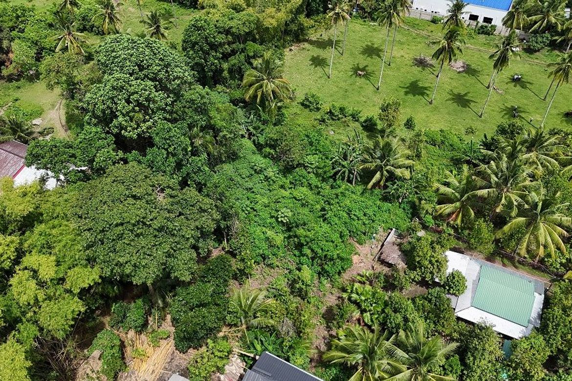 Land for Sale in Balabag East, Valencia, Negros Oriental – photo 3