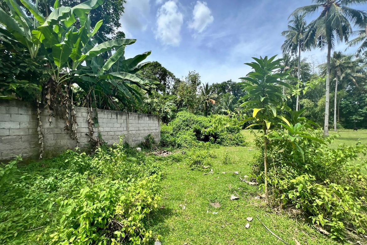 Land for Sale in Balabag East, Valencia, Negros Oriental – photo 7
