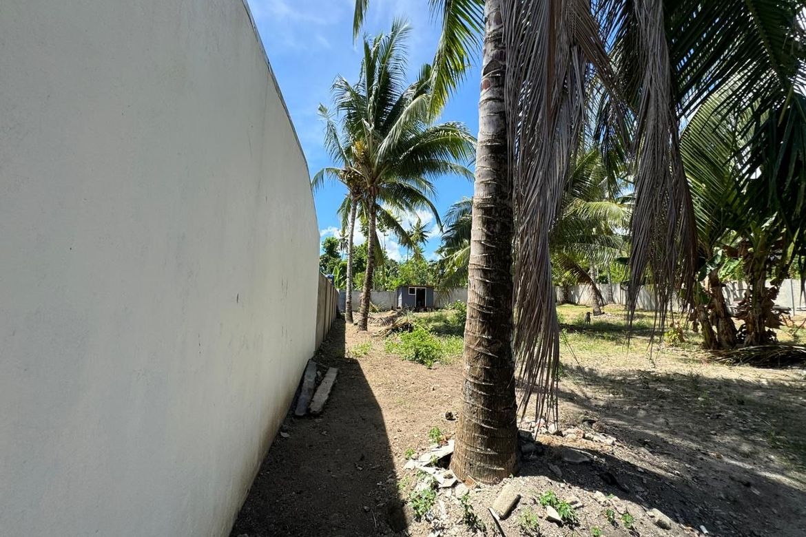 Land for Sale in Balabag East, Valencia, Negros Oriental – photo 2