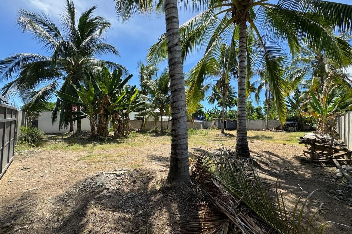 Land for Sale in Balabag East, Valencia, Negros Oriental – photo 3
