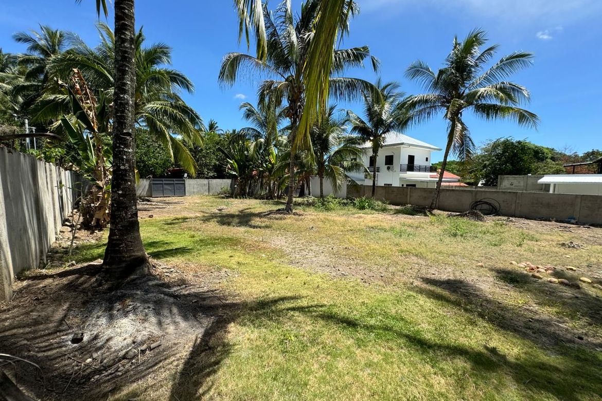 Land for Sale in Balabag East, Valencia, Negros Oriental – photo 4