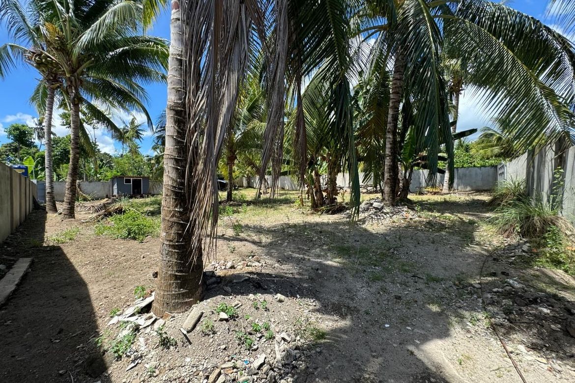 Land for Sale in Balabag East, Valencia, Negros Oriental – photo 8