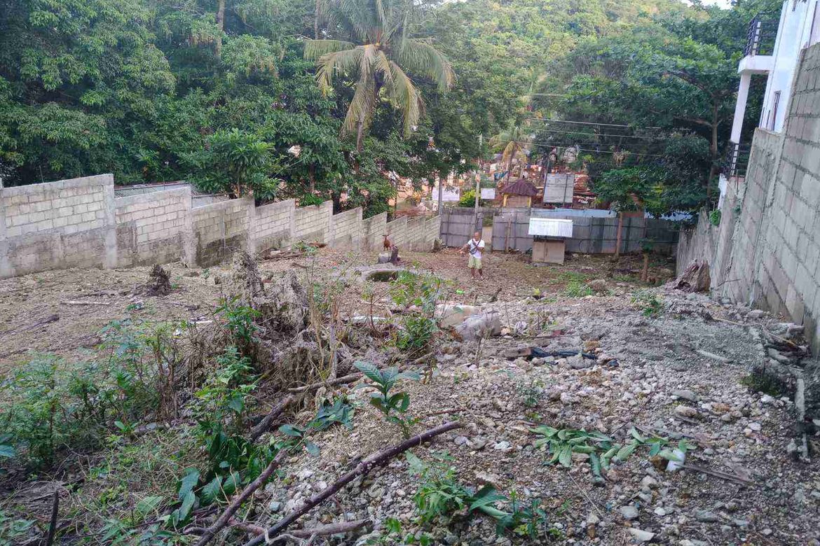 Land for Sale in Balabag, Malay, Aklan – photo 3