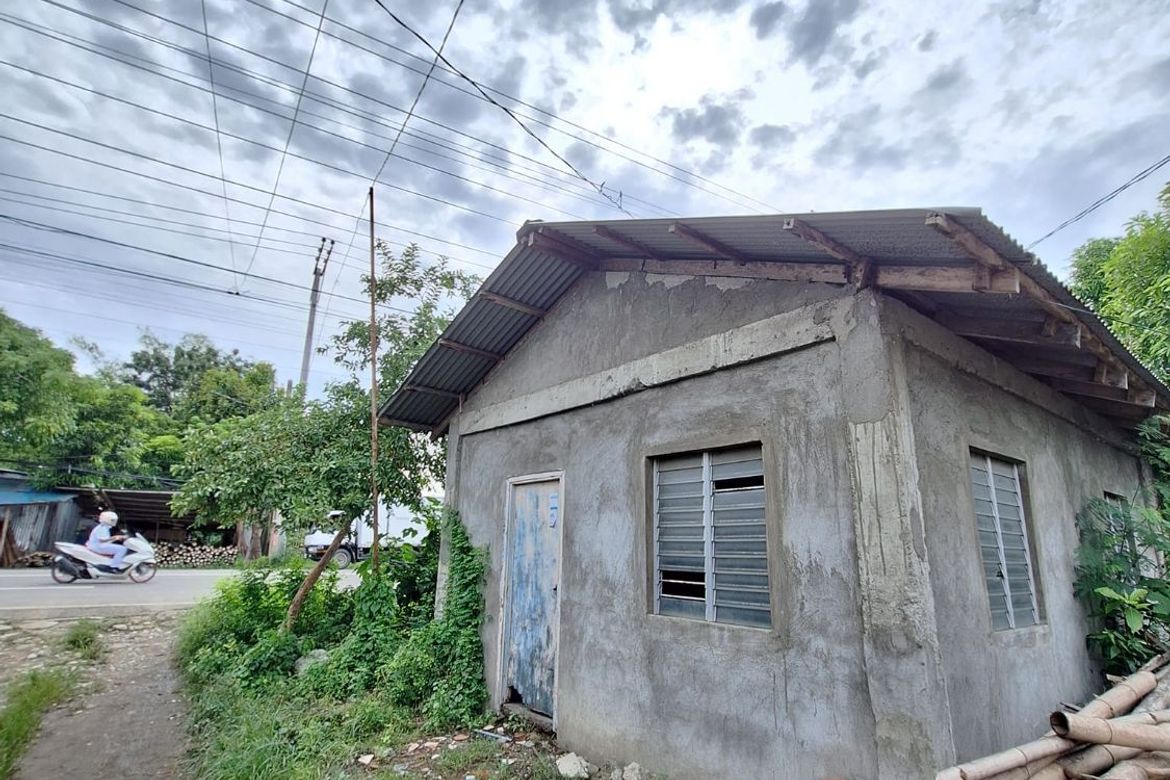 Land for Sale in Balabag, Pavia, Iloilo – photo 4