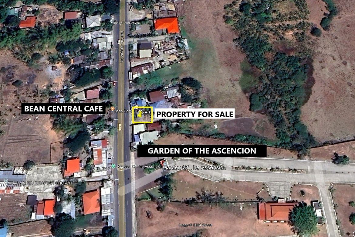 Land for Sale in Balabag, Pavia, Iloilo – photo 5