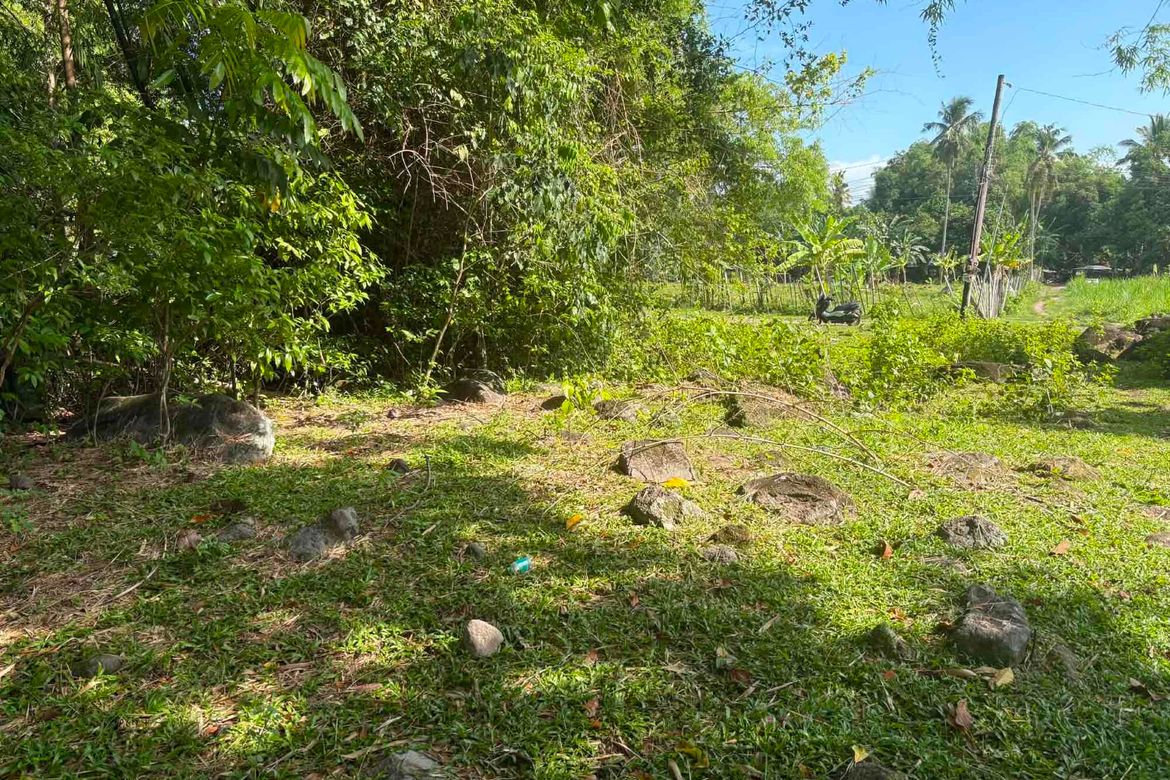 Land for Sale in Balabag West, Valencia, Negros Oriental