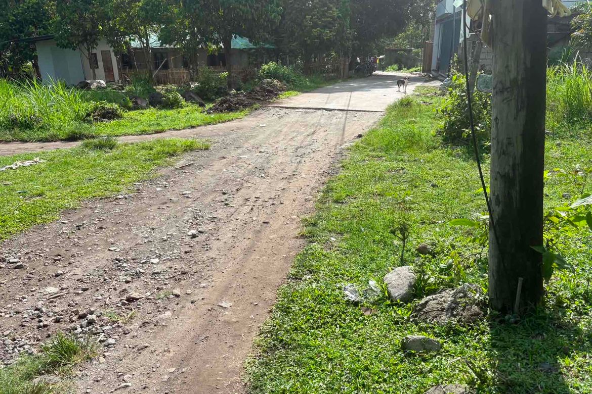 Land for Sale in Balabag West, Valencia, Negros Oriental – photo 3