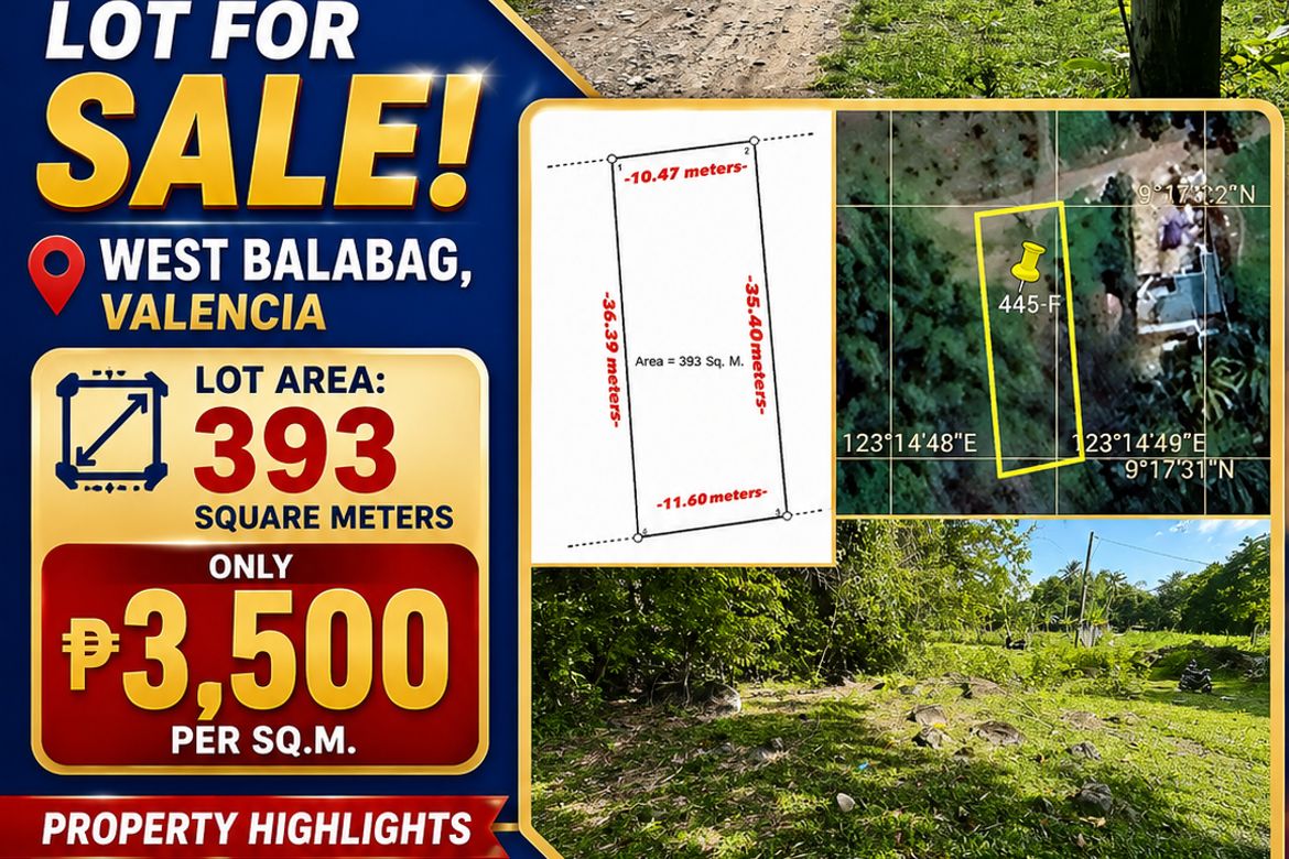 Land for Sale in Balabag West, Valencia, Negros Oriental – photo 6