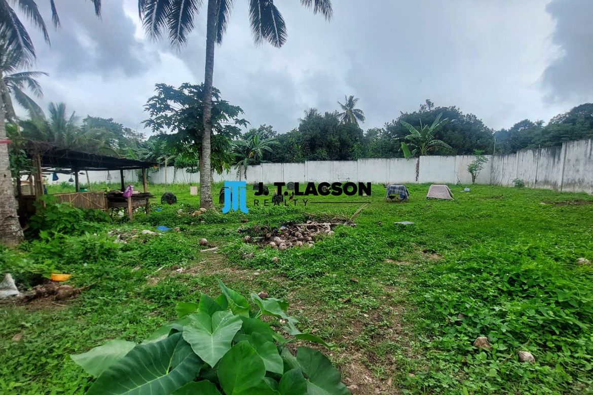 Land for Sale in Balabag West, Valencia, Negros Oriental – photo 2