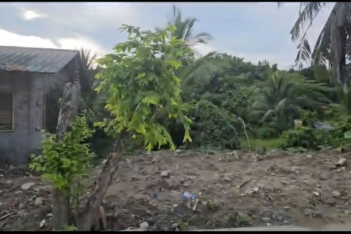 Land for Sale in Balabago, Alimodian, Iloilo – photo 3