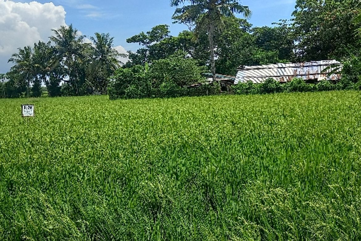 Land for Sale in Balagbag, San Juan, Batangas – photo 3