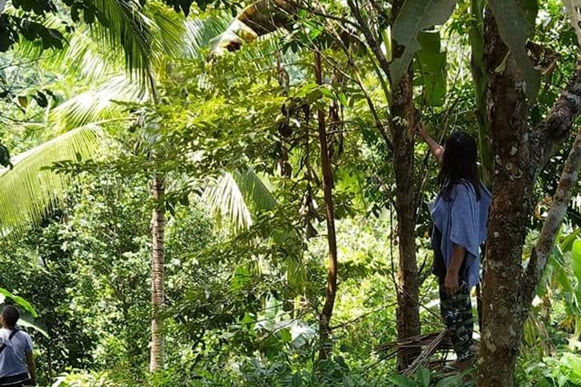 Land for Sale in Balagnan, Balingasag, Misamis Oriental – photo 3