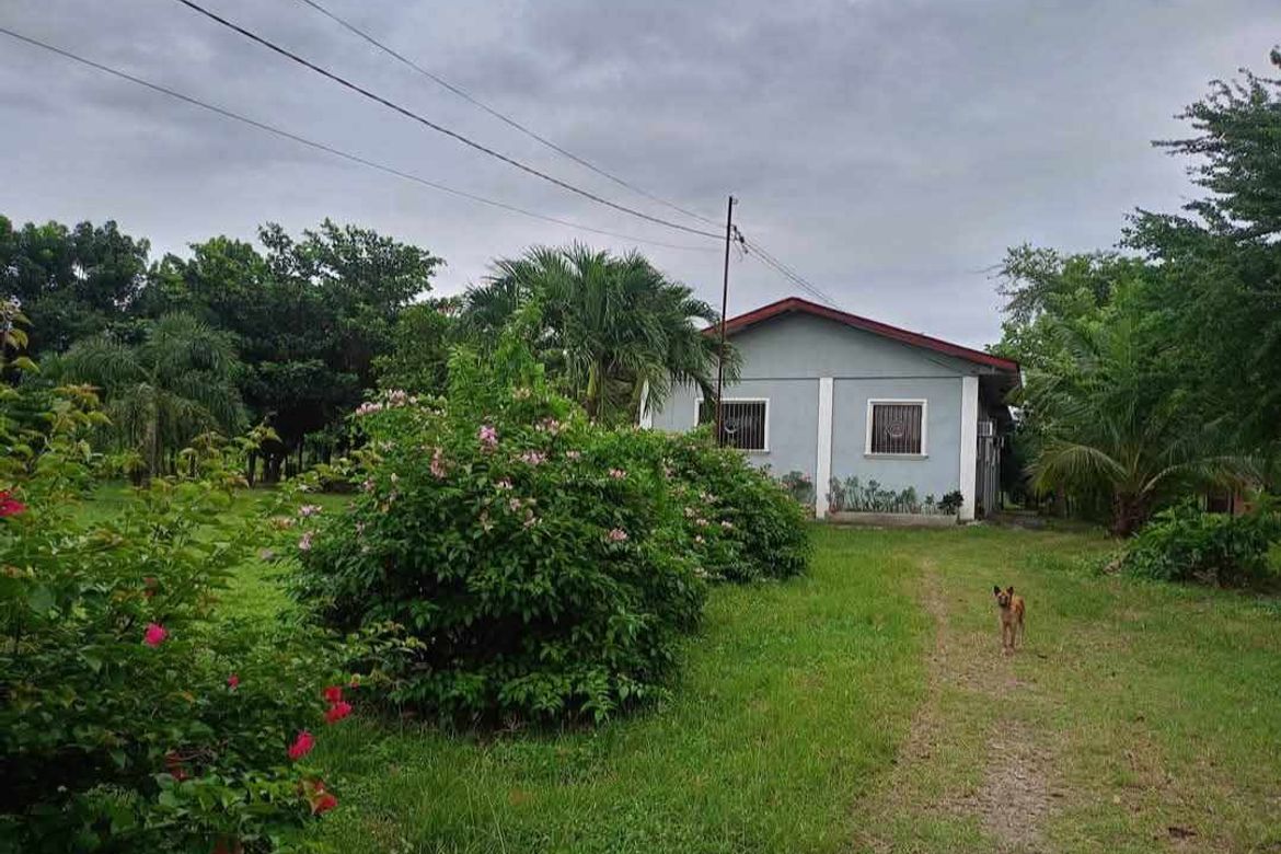 Land for Sale in Balanoy, La Paz, Tarlac