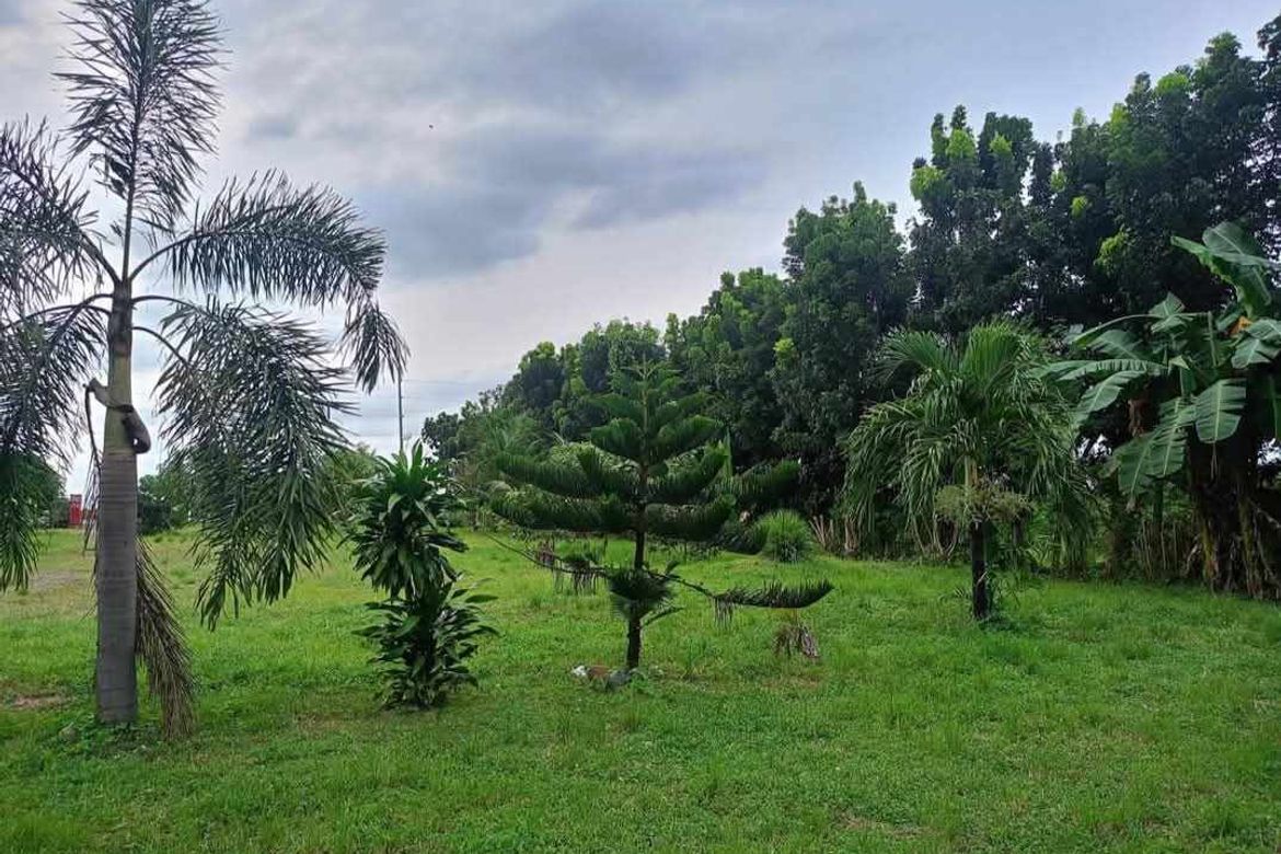 Land for Sale in Balanoy, La Paz, Tarlac – photo 8