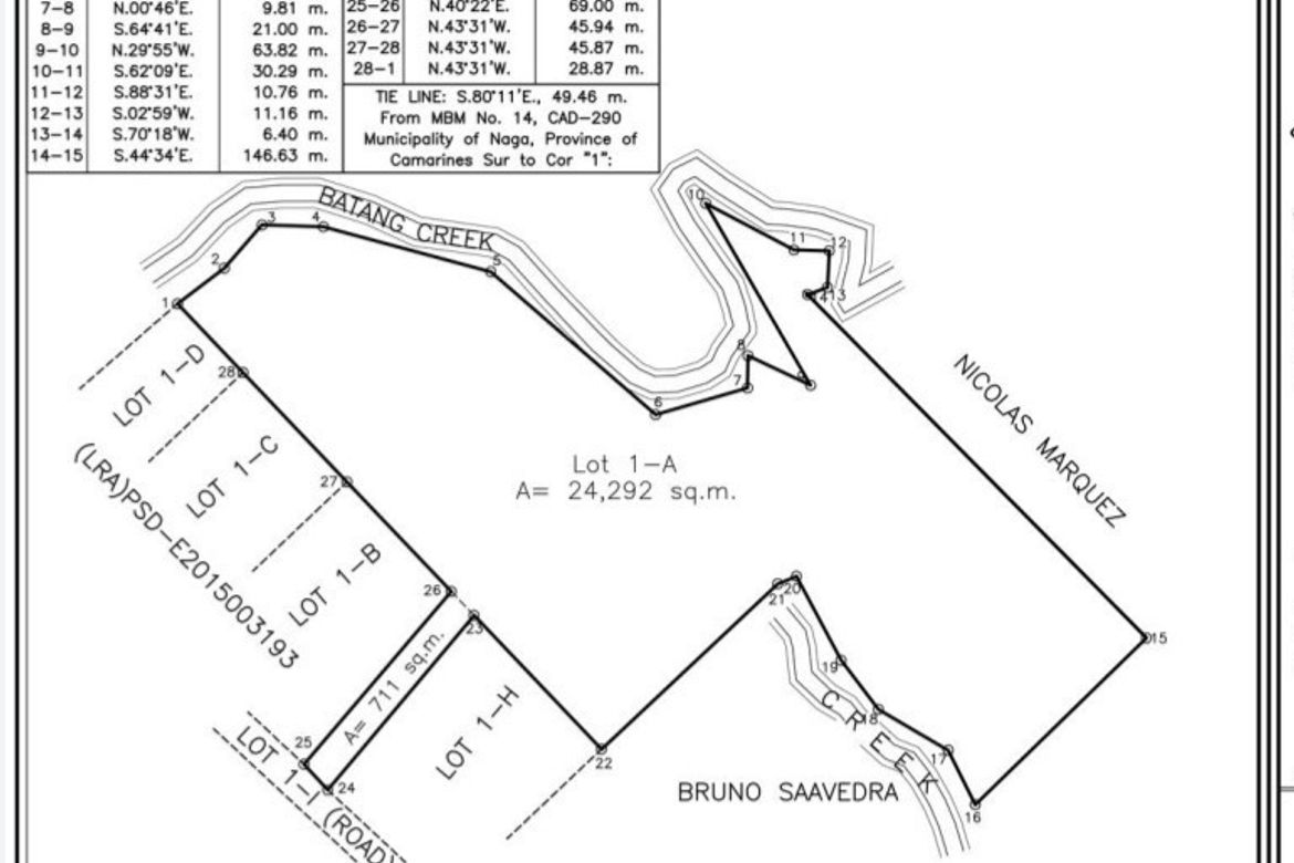 Land for Sale in Balatas, Naga, Camarines Sur – photo 2