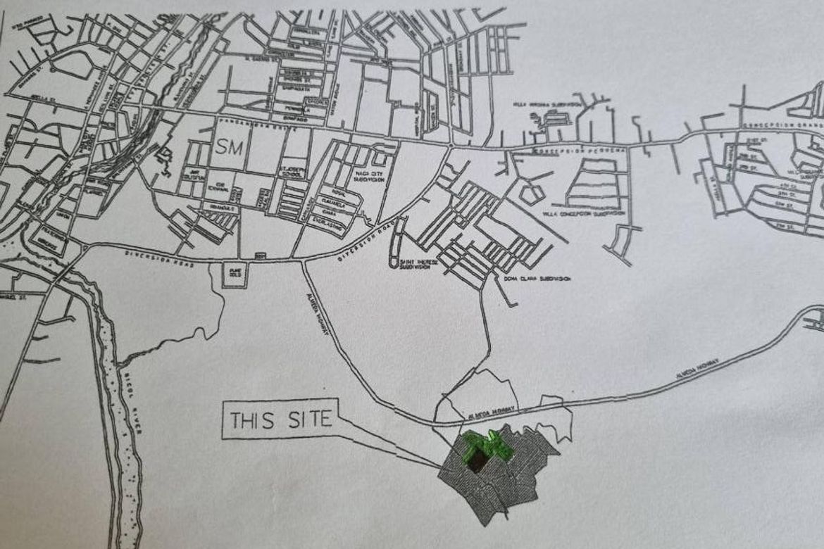 Land for Sale in Balatas, Naga, Camarines Sur – photo 4