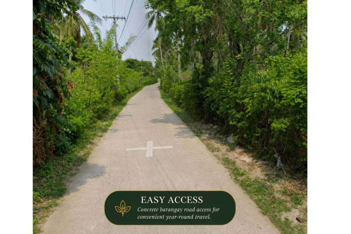 Land for Sale in Balatbat, Lobo, Batangas – photo 7